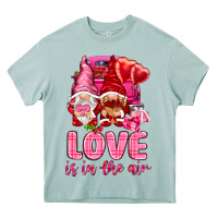 Arona love is in the air with gnomies Heavy Core Tee - NancyCooperArtShop