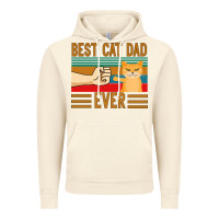 Vintage Artic Best Cat Dad Ever Vintage Hoodie - Bettercallsaul