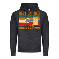 Vintage Black Best Cat Dad Ever Vintage Hoodie - Bettercallsaul
