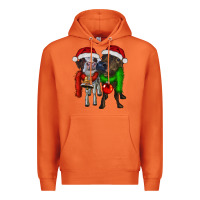 Carrot two christmas heifers Premium Hoodie - RanaPortraitStore