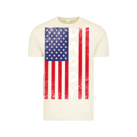 Vintage Arctic Daddy American Flag Vintage Tee - Bettercallsaul