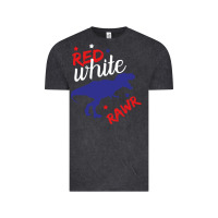 Vintage Black 4th of July Dinosaur Vintage Tee - Bettercallsaul