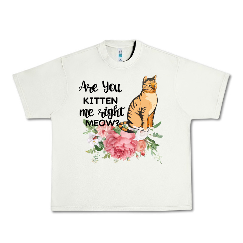 Are You Kitten Me Right Meow Urban Heavy Tee by Bettercallsaul | Teevron