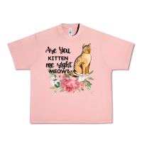 Salmon Are you kitten me right meow Urban Heavy Tee - Bettercallsaul
