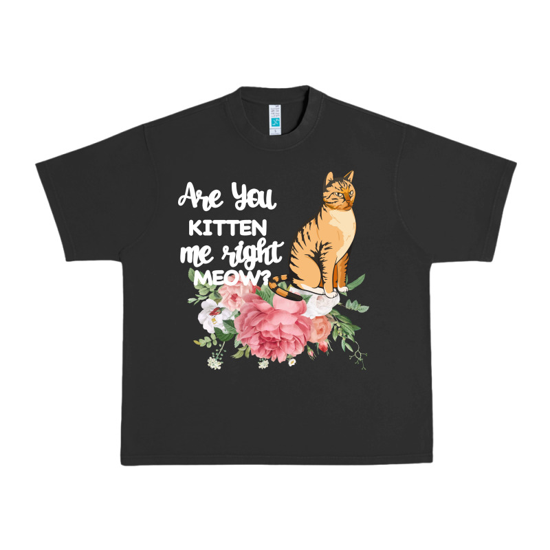 Cat Maine Coon Gift Kidding Kitten Meow Pussycat Urban Heavy Tee by Bettercallsaul | Teevron