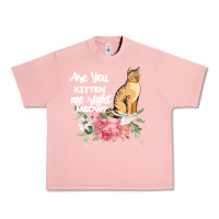 Salmon Cat Maine coon gift kidding kitten meow pussycat Urban Heavy Tee - Bettercallsaul