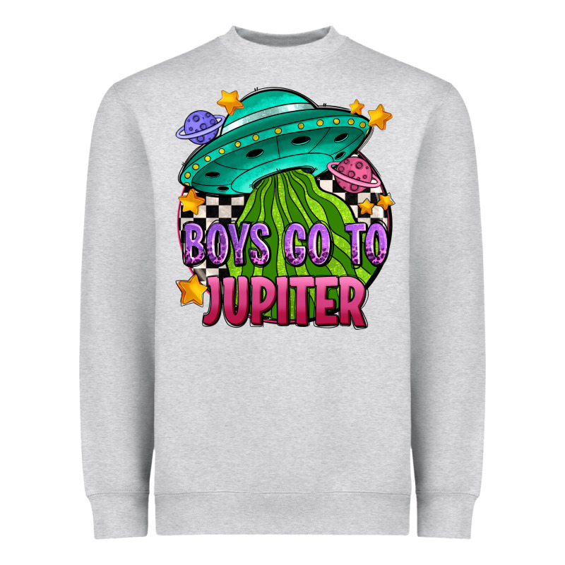 Boys Go To Jupiter Olıvıa Heavyweight Sweatshirt by OliviaCreatesArt | Teevron