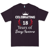 Plum 18 years of being awesome, 18 year old birthday gi Premium Tee - tuanDangUi