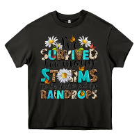 Asphalt ive survived too many storms to be bothered by rai Heavy Core Tee - NancyCooperArtShop