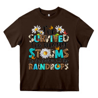 Chocolate Brown ive survived too many storms to be bothered by rai Heavy Core Tee - NancyCooperArtShop