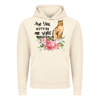 Vintage Artic Are you kitten me right meow Vintage Hoodie - Bettercallsaul