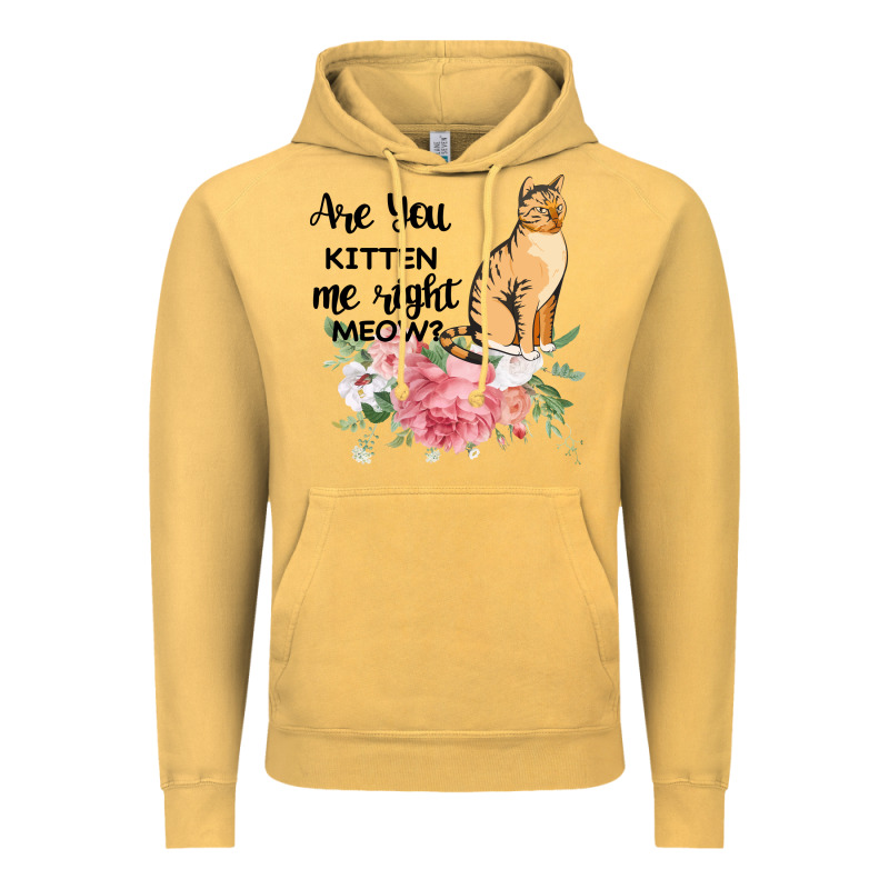 Are You Kitten Me Right Meow Vintage Hoodie by Bettercallsaul | Teevron