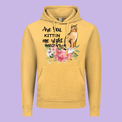 Are You Kitten Me Right Meow Vintage Hoodie Designed By Bettercallsaul