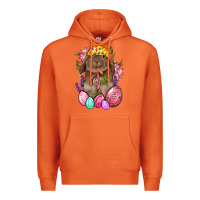 Carrot Rabbit And Carrot Easter Premium Hoodie - BundleAndBundleShop