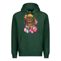Sports Green Rabbit And Carrot Easter Premium Hoodie - BundleAndBundleShop