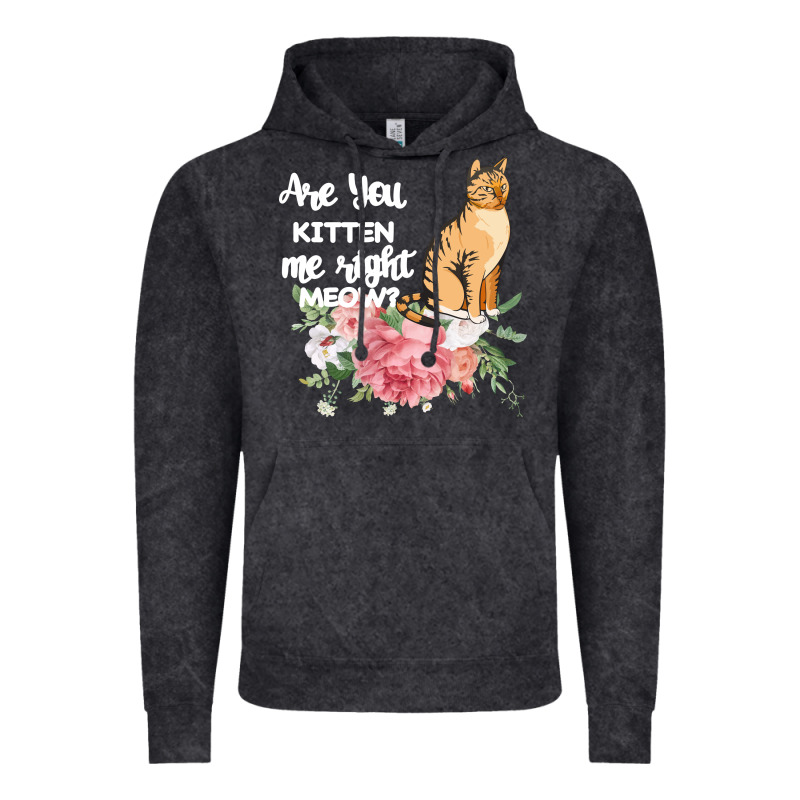 Cat Maine Coon Gift Kidding Kitten Meow Pussycat Vintage Hoodie by Bettercallsaul | Teevron