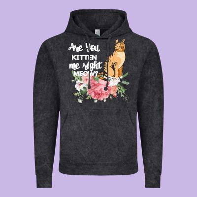 Cat Maine Coon Gift Kidding Kitten Meow Pussycat Vintage Hoodie Designed By Bettercallsaul