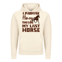 Vintage Artic I Promise Honey This Is My Last Horse Vintage Hoodie - Bettercallsaul