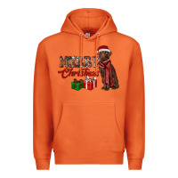 Carrot merry christmas labrador retriever Premium Hoodie - RanaPortraitStore