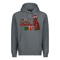 Rock merry christmas labrador retriever Premium Hoodie - RanaPortraitStore