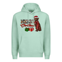 Seafoam merry christmas labrador retriever Premium Hoodie - RanaPortraitStore