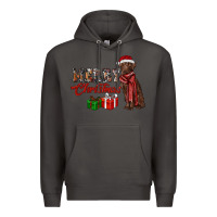 Smoke merry christmas labrador retriever Premium Hoodie - RanaPortraitStore