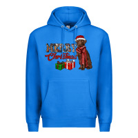 True Royal merry christmas labrador retriever Premium Hoodie - RanaPortraitStore