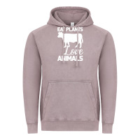 Vintage Zinc Eat Plants Love Animals Vintage Hoodie - Bettercallsaul