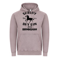 Vintage Zinc Horse Vintage Hoodie - Bettercallsaul