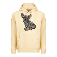 Pina Colada french bulldog Premium Hoodie - RanaPortraitStore