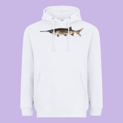 Paddlefish Illustrations, Heavyweight Hoodie Designed By Lillyallendesigns