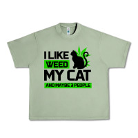 Cat Weed I Like My Cat Gift Urban Heavy Tee | Teevron