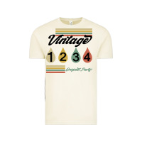 Vintage Arctic Born In 1976 Vintage Tee - Bettercallsaul