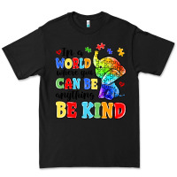 Black in a world where you can be anything be kind Premium Tee - MaliasSmallBusiness
