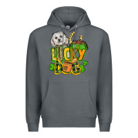 Rock lucky dog St. Patrick's Premium Hoodie - FaDigitalArtStudio