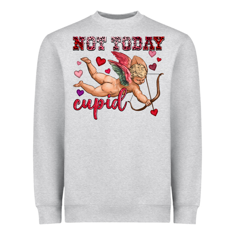 Not Today Cupid Heavyweight Sweatshirt by OliviaCreatesArt | Teevron