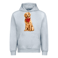 Heather Grey golden retriever Urban Hoodie - Artiststas