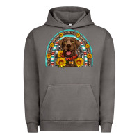 Pigment Tornado chocolate labrador rainbow Urban Hoodie - Artiststas