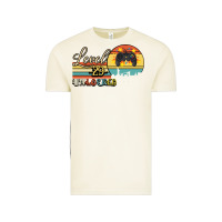 Vintage Arctic Level 29 Unlocked Vintage Tee - Bettercallsaul