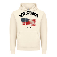 Vintage Artic VIRGINIA U.S.A Vintage Hoodie - Bettercallsaul