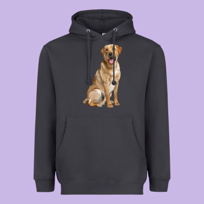 Labrador Retriever Llustrations Heavyweight Hoodie Designed By Lillyallendesigns