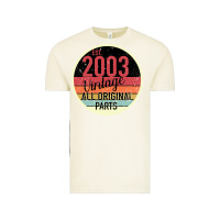 Vintage Arctic 16th Birthday gift Vintage 2003 Vintage Tee - Bettercallsaul