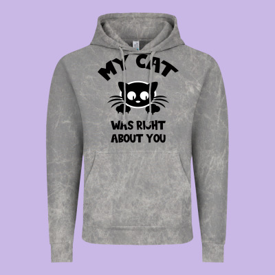 My Cat Was Right About You Vintage Hoodie Designed By Bettercallsaul