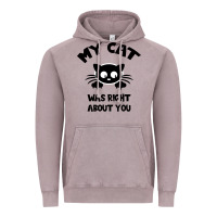 Vintage Zinc My Cat Was Right About You Vintage Hoodie - Bettercallsaul