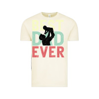 Vintage Arctic Best Dad Ever Vintage Tee - Bettercallsaul