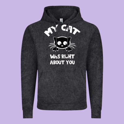 My Cat Was Right About You Vintage Hoodie Designed By Bettercallsaul