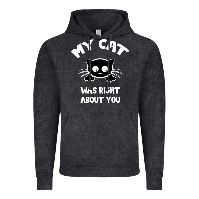 My Cat Was Right About You Vintage Hoodie by Bettercallsaul | Teevron