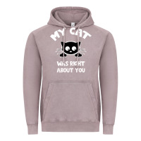 Vintage Zinc My Cat Was Right About You Vintage Hoodie - Bettercallsaul