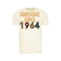 Vintage Arctic Awesome Since 1964 Vintage Tee - Bettercallsaul