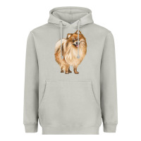 Moon Dust Pomeranian Dog Illustrations Heavyweight Hoodie - LillyAllenDesigns